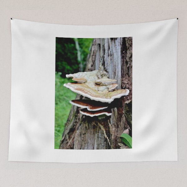 Item preview, Layers of Fun! designed and sold by Kathleen Daley.