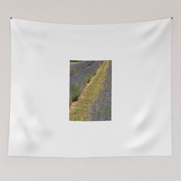 Item preview, Lavender Field designed and sold by Deborah Singer.