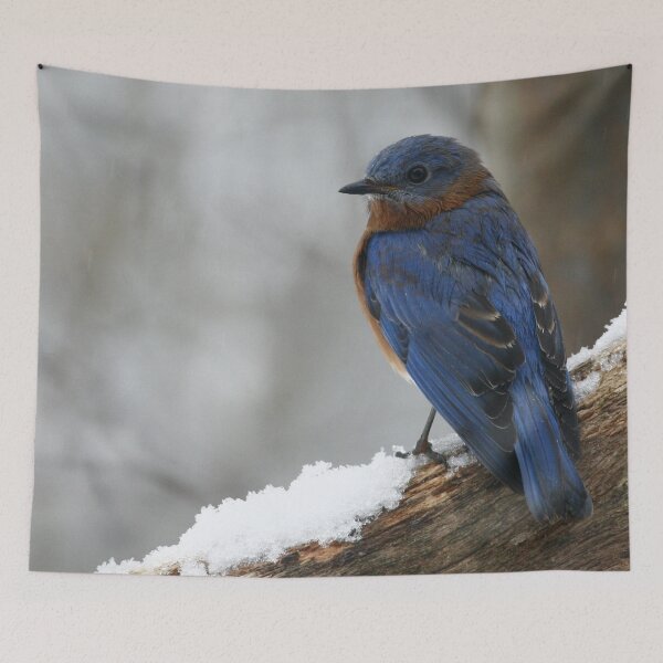 Item preview, Eastern Bluebird designed and sold by Enola Gay Wagner.