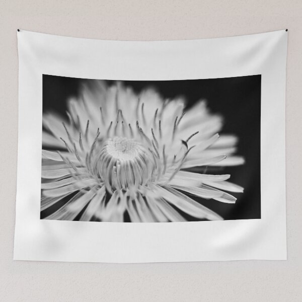 Item preview, reach designed and sold by blumwurks.