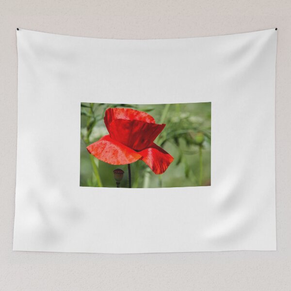 Item preview, Amapola designed and sold by Martina Fagan.