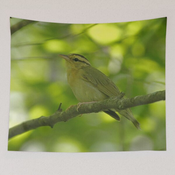 Item preview, Worm-eating Warbler designed and sold by Enola Gay Wagner.
