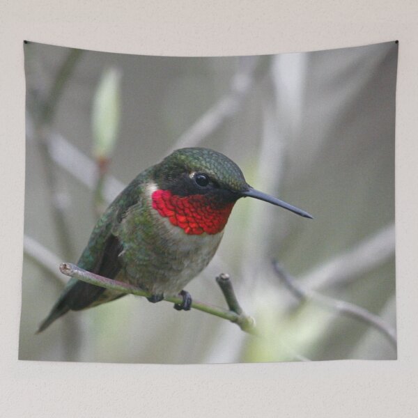 Item preview, Ruby-throated Hummingbird designed and sold by Enola Gay Wagner.