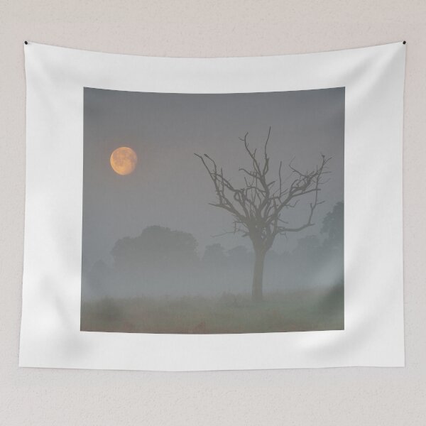 Item preview, Waning Gibbous designed and sold by Kasia Nowak.