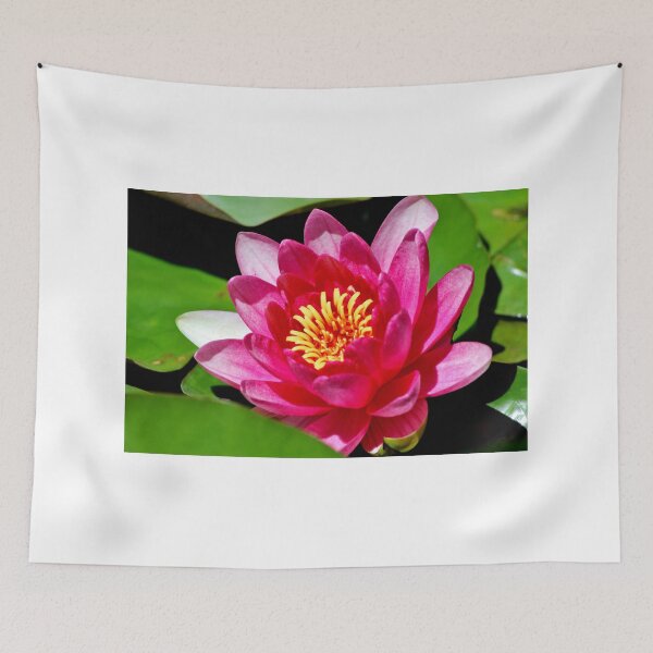 Item preview, Deep Pink Impressions designed and sold by Kathleen Daley.