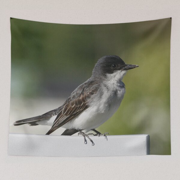 Item preview, Eastern Kingbird  designed and sold by Enola Gay Wagner.