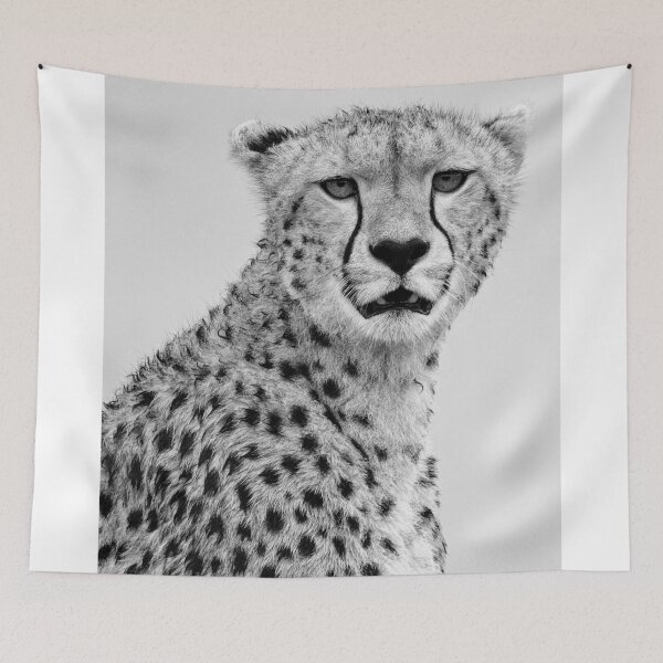 Item preview, Fast cat. designed and sold by Roger  Mackertich.