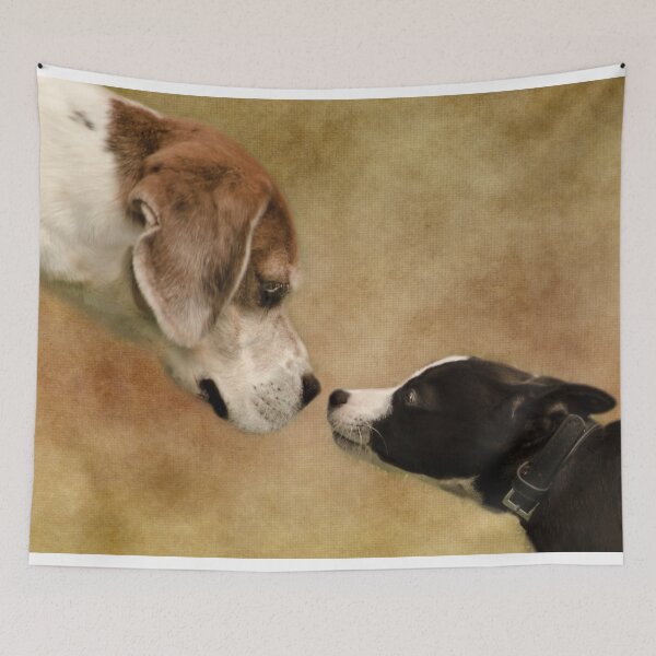 Item preview, Nose To Nose Dogs designed and sold by Linsey Williams.
