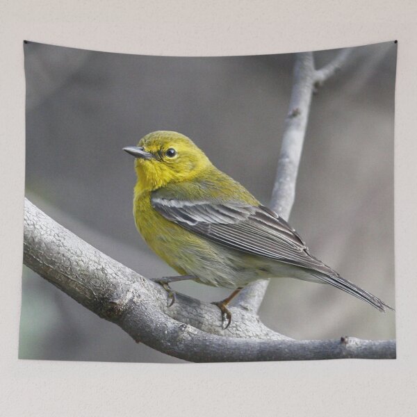 Item preview, Pine Warbler designed and sold by Enola Gay Wagner.
