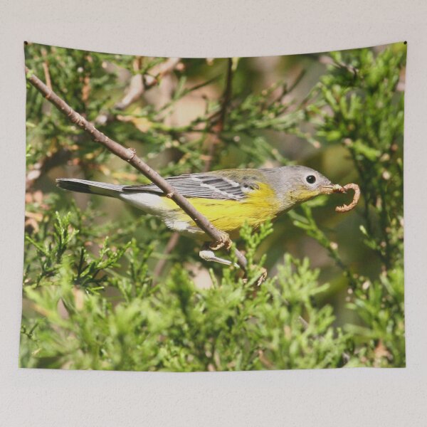 Item preview, Magnolia Warbler designed and sold by Enola Gay Wagner.