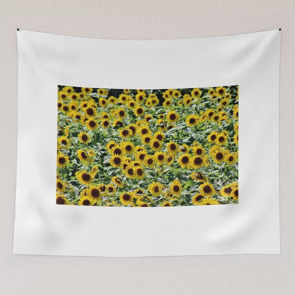 Aperçu de l'œuvre In the Valley of the Sunflower créée et vendue par Kathleen Daley.