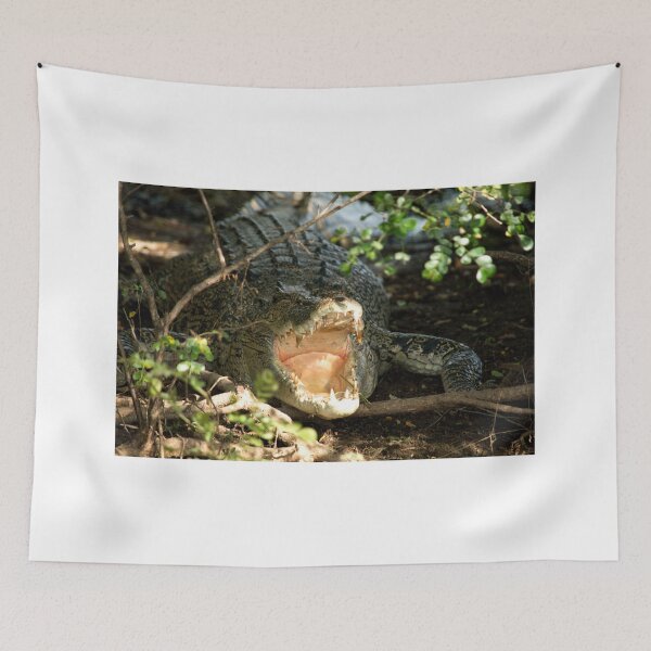 Item preview, Salty designed and sold by Peter Keepence.