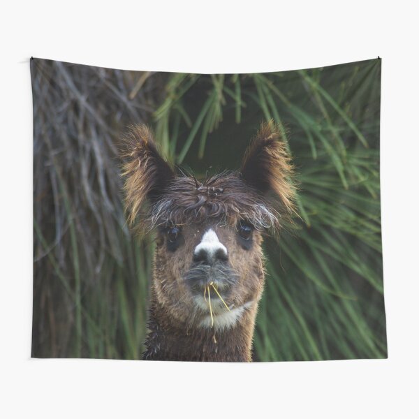 Alpaca, Ears Up Tapestry