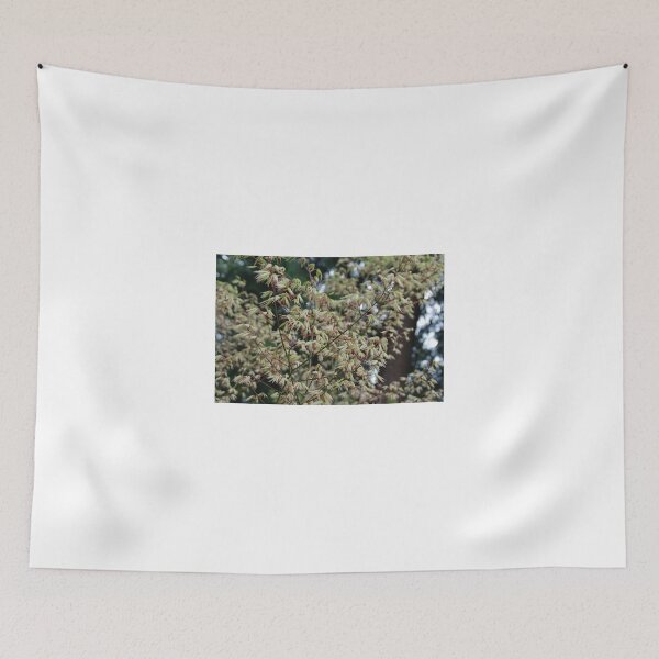 Item preview, Cloud Maple designed and sold by Deborah Singer.