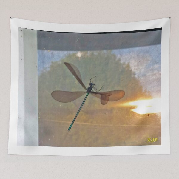 Item preview, "Dragonfly Captured" designed and sold by Robert Regenold's Art Shop.