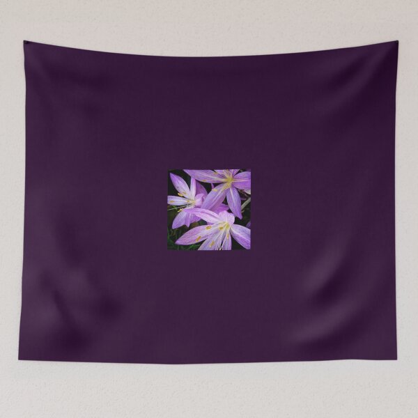 Item preview, Saffron Crocus Flowers Photography designed and sold by Heatherian.