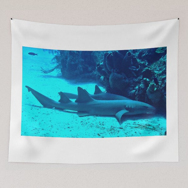 Item preview, Nurse Sharks designed and sold by Amy McDaniel.