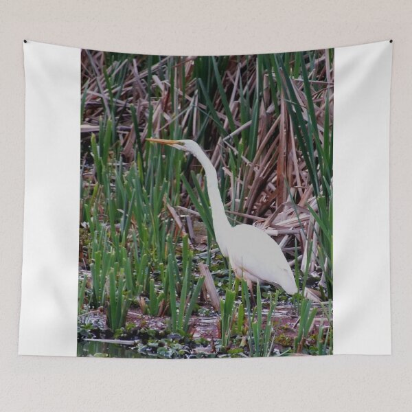 Item preview, Just Waiting  Great Egret  Norfolk Island designed and sold by sandysartstudio.