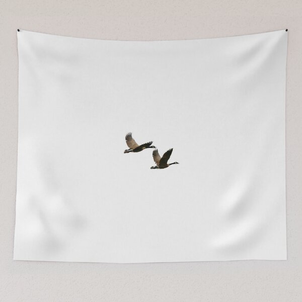 Item preview, Canadian geese  designed and sold by Saltypro.