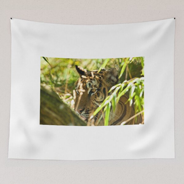 Item preview, tiger in the bamboo designed and sold by peterwyatt.