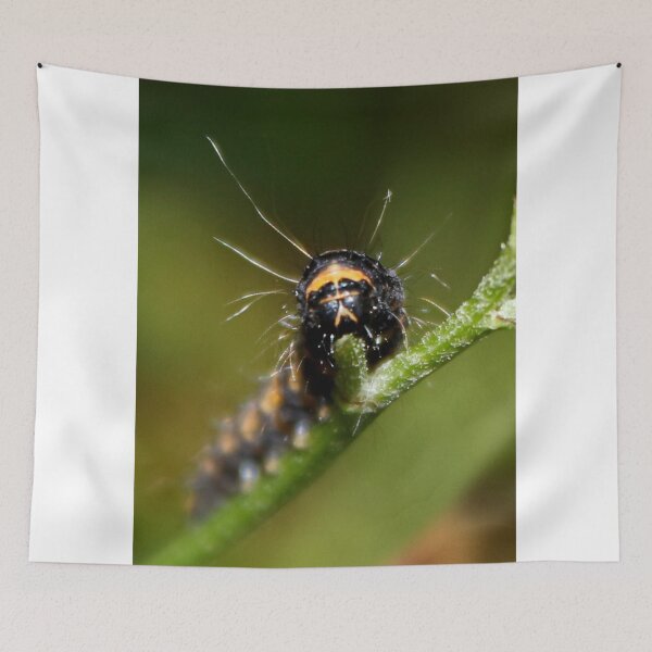 Item preview, Cinnabar Moth Caterpillar designed and sold by AnnDixon.