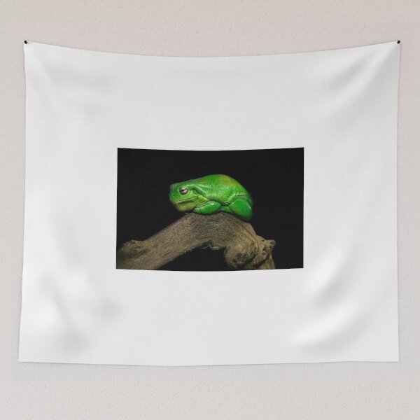Item preview, Froggy designed and sold by Shannon Rogers.
