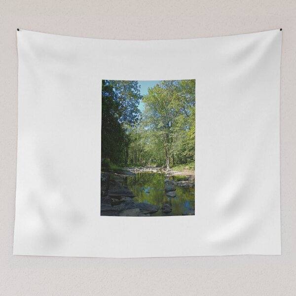 Item preview, Stream in the Woods designed and sold by ADM  Photography.