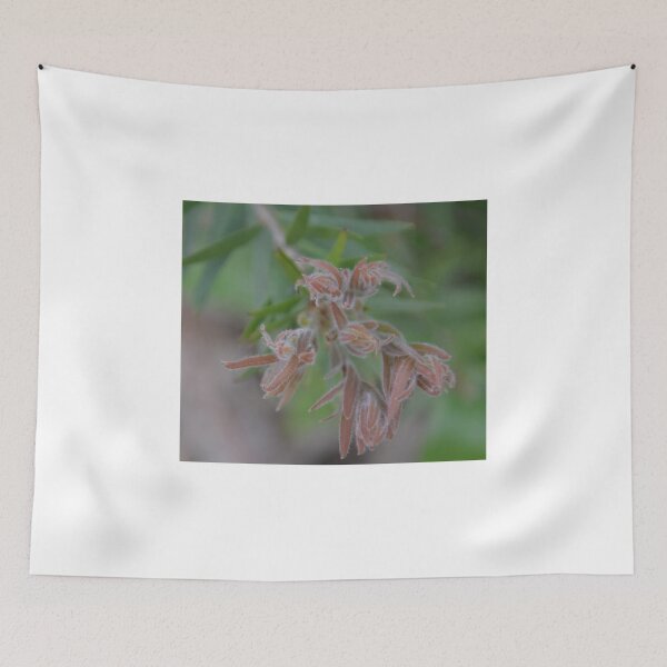 Item preview, AUSTRALIAN NATIVE PLANT designed and sold by kazaroodie.