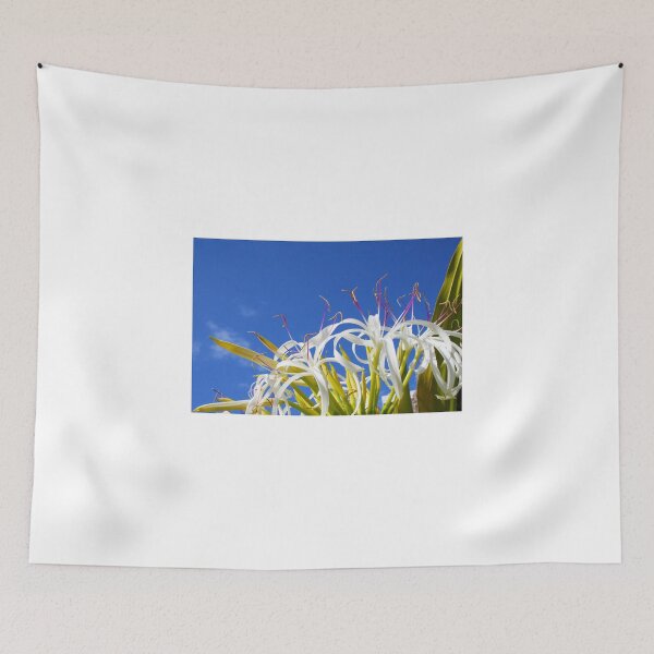 Item preview, Hymenocallis flower - Wallygroom Spider Flower designed and sold by Bruno Beach.