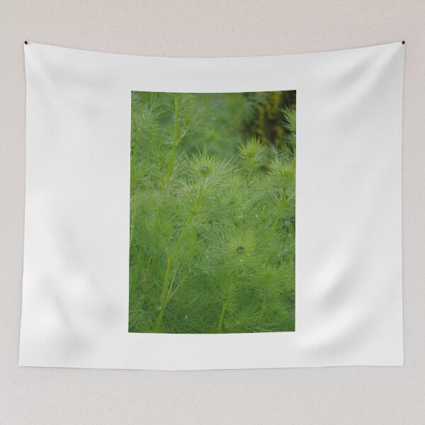 Item preview, Nigella in Bud designed and sold by lezvee.