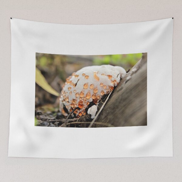 Item preview, Honey in My Pores designed and sold by Kathleen Daley.