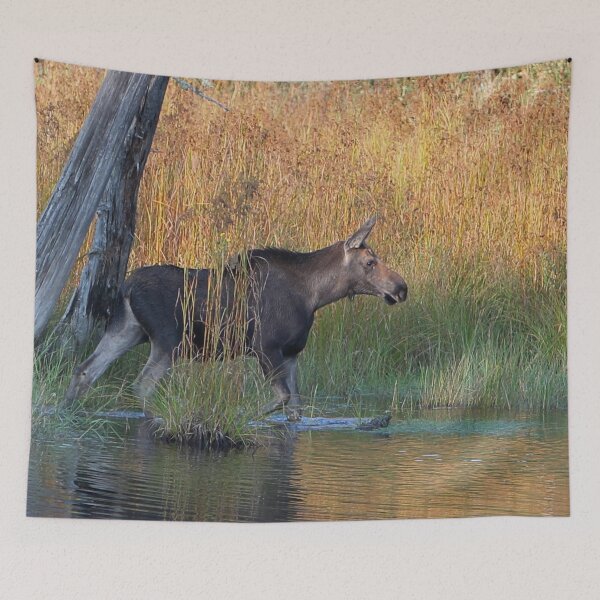 Item preview, Maine Moose in the water designed and sold by Enola Gay Wagner.