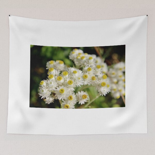Item preview, Pearly Everlasting II designed and sold by Kathleen Daley.
