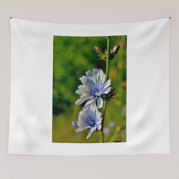 Item preview, Common Chicory II designed and sold by Kathleen Daley.