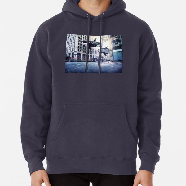 Hoodie (Pullover)