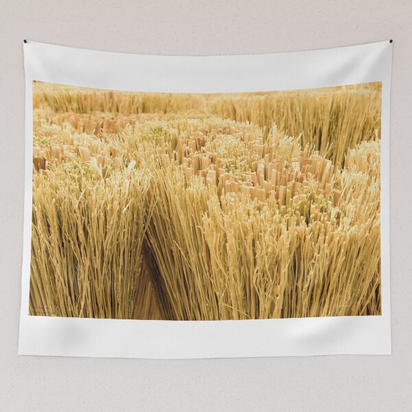 Item preview, Artsy Fartsy - 3 - Cleaning Time © designed and sold by © Hany G. Jadaa © Prince John Photography.