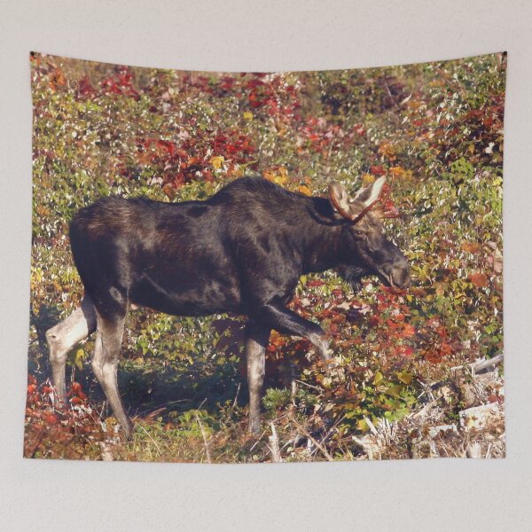 Item preview, Maine Bull Moose  designed and sold by Enola Gay Wagner.