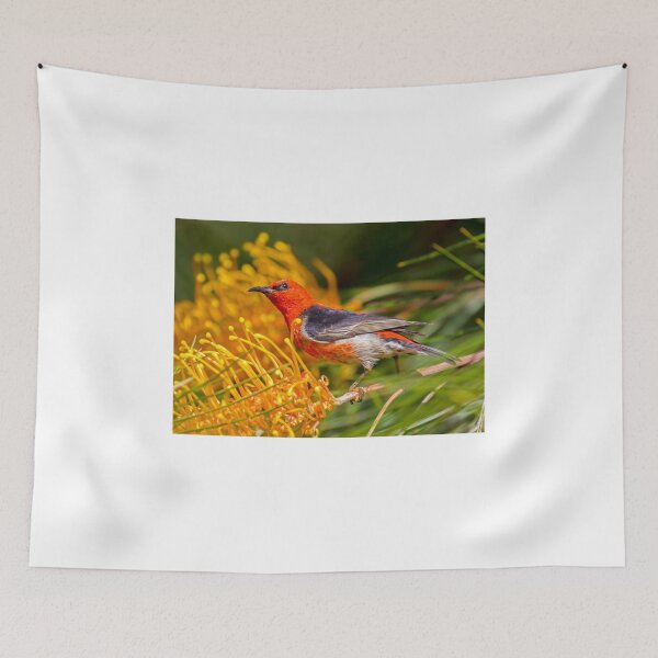 Item preview, scarlet honeyeater designed and sold by bidkev1.