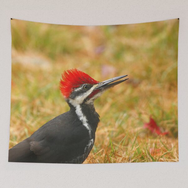 Item preview, Pileated Woodpecker designed and sold by Enola Gay Wagner.