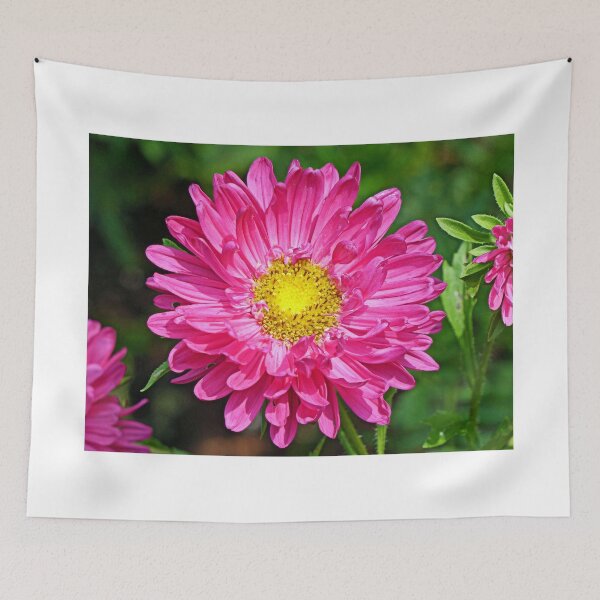 Item preview, Pretty in Pink designed and sold by Frankie Cat Photography.