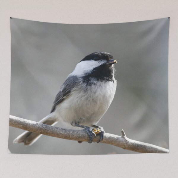 Item preview, Black-capped Chickadee designed and sold by Enola Gay Wagner.