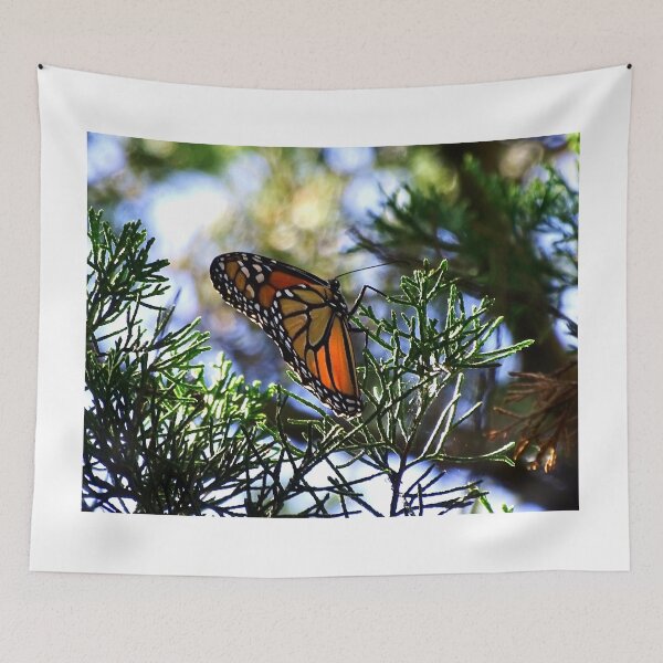 Aperçu de l'œuvre Monarch Butterfly créée et vendue par Karen Rubeiz.