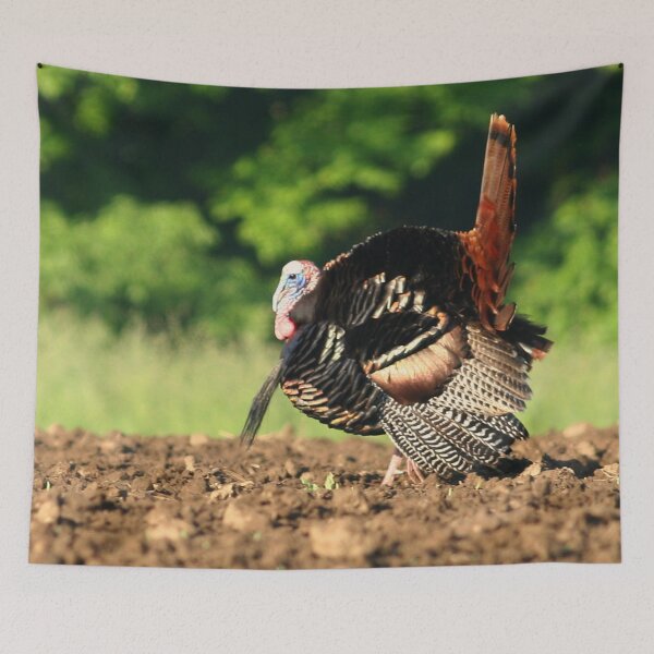 Item preview, Wild Tom Turkey designed and sold by Enola Gay Wagner.