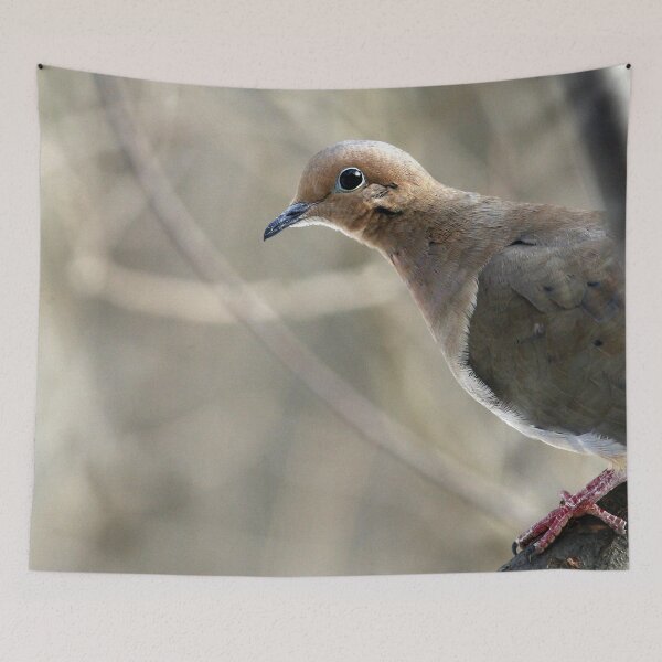 Item preview, Mourning Dove designed and sold by Enola Gay Wagner.