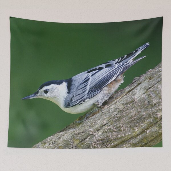 Item preview, White breasted Nuthatch designed and sold by Enola Gay Wagner.