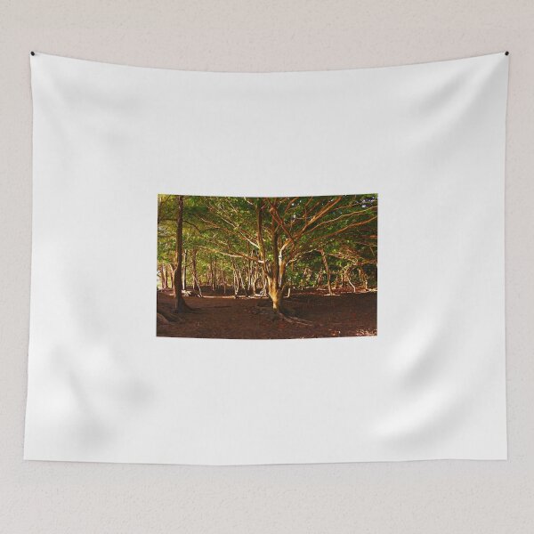 Item preview, Na Pali Trail, Maui - HAWAII designed and sold by Bruno Beach.
