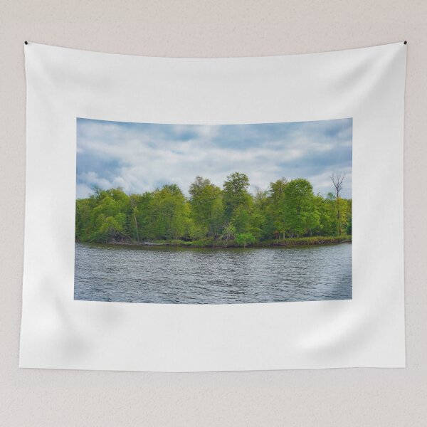 Item preview, Bay Lake Study 6  designed and sold by Robert Meyers-Lussier.