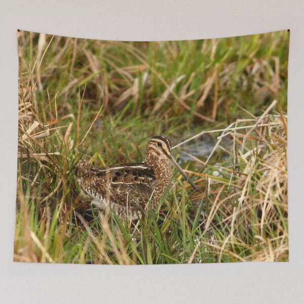 Item preview, Common Snipe designed and sold by Enola Gay Wagner.