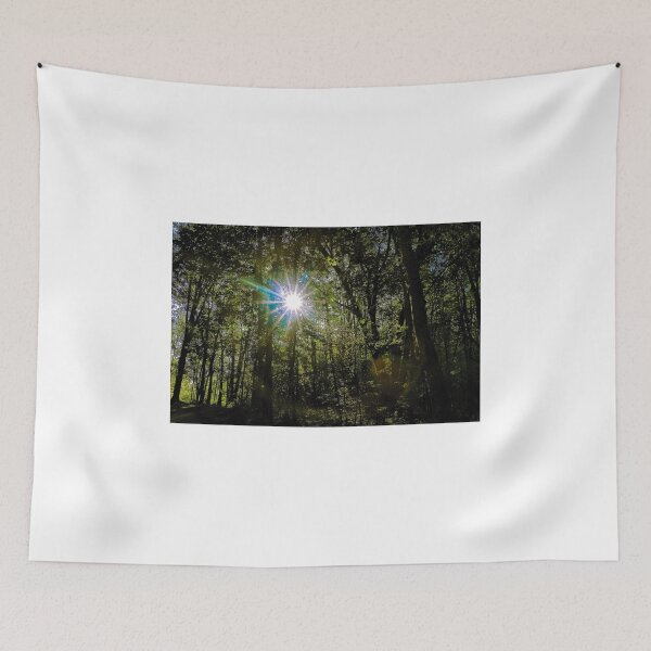Item preview, Sunshine Through the Trees designed and sold by ADM  Photography.