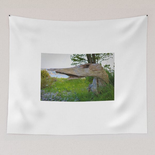 Item preview, A interesting log designed and sold by ADM  Photography.